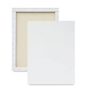 TELA 20X30 IDEAL - UN